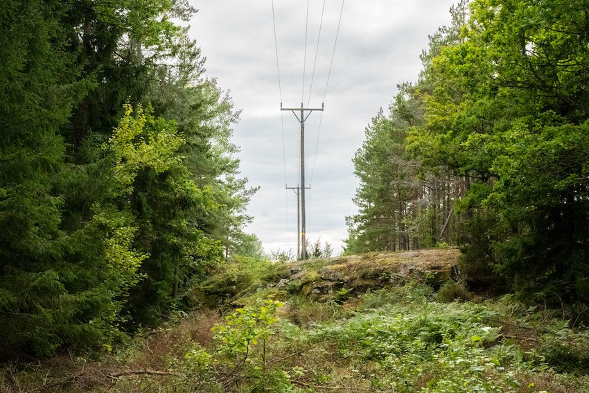 bilde av kraftline i skogen